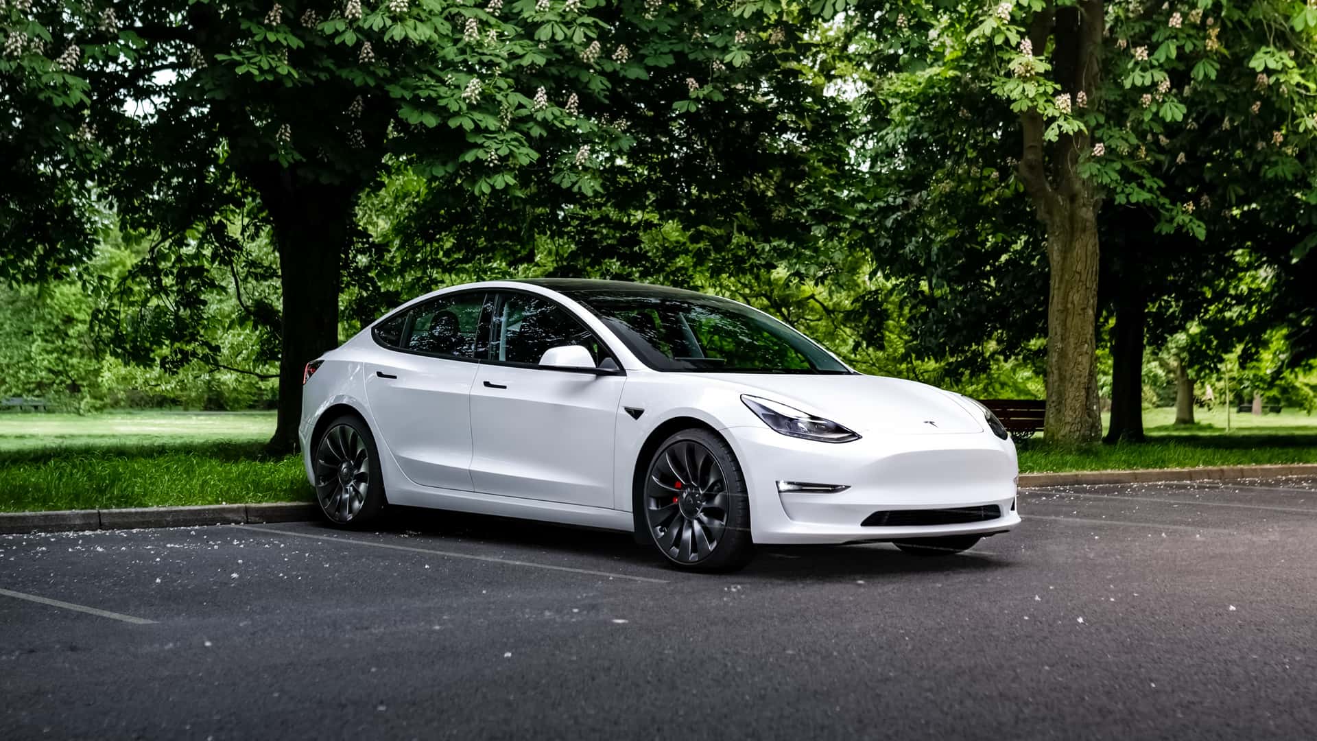 Estimated Tesla Order Backlog Hits New Low: 59,000 On Jun 19, 2023