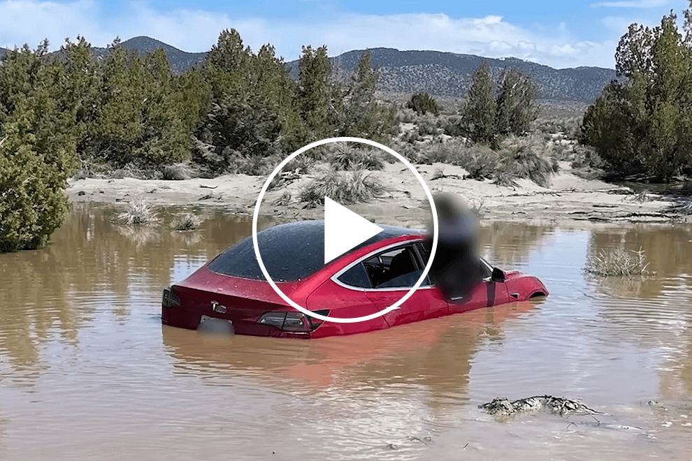 WATCH: Tesla Model 3 In Full Self Driving Mode Crashes Into A Pond