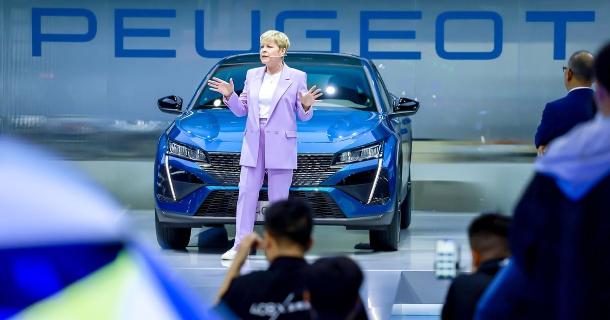 France's revised subsidies for EVs pose existential threat to its brands in China