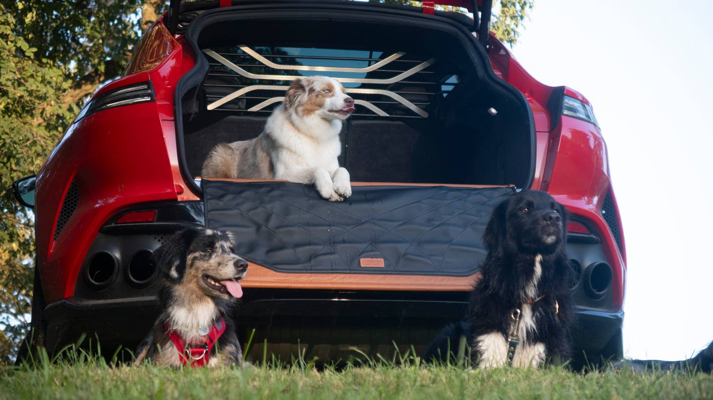 Koda sure took on an attitude as soon as she climbed into this car. <em>Andrew P. Collins</em>