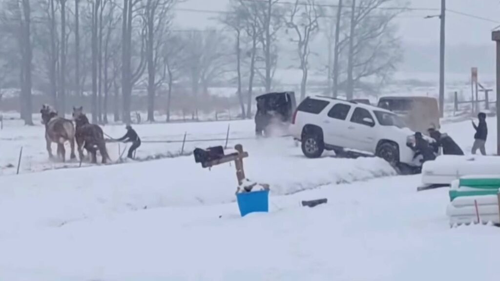 Watch an Amish Horse Team Pull a GMC Yukon Out of an Icy Ditch