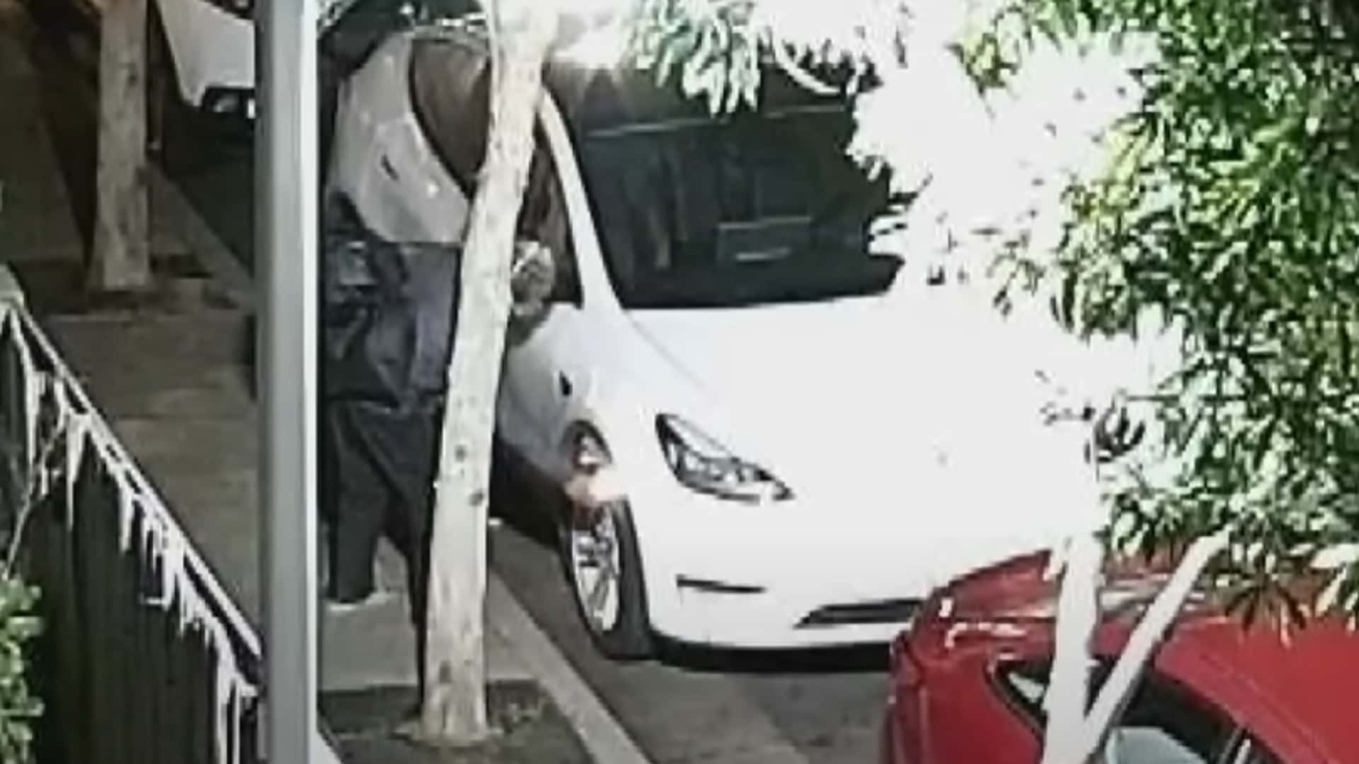 Tesla Arson Suspect Caught On Camera: Two Model Ys Burnt