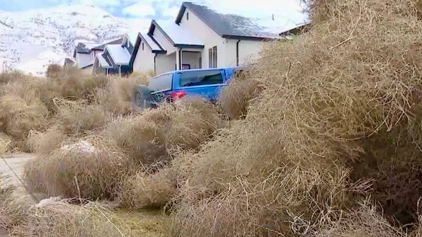 Monstrous Tumbleweeds Are Burying Trucks and Houses in Utah