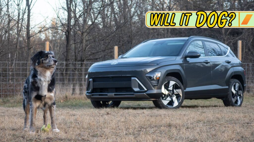 2024 Hyundai Kona: Will It Dog?